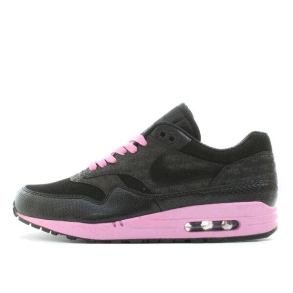Air Max 1 Powerwall Pack Morning Glory