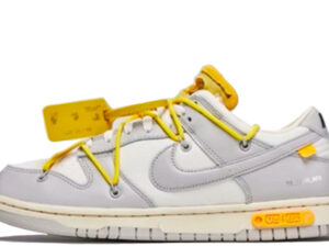 x Off-White Dunk Low Lot 29 (2021)