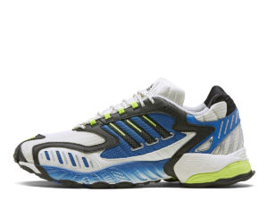 Consortium Torsion TRDC (2019)