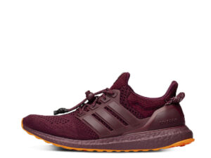WMNS X Beyonce Ivy Park Ultra Boost Maroon (2020)